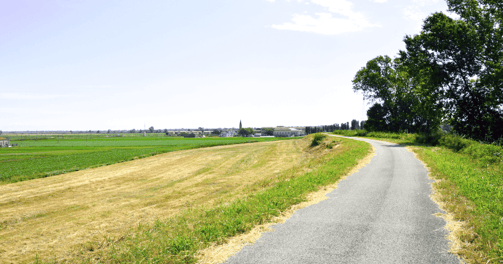 Viaggiatori on the road dalle lunghe percorrenze mototuristi