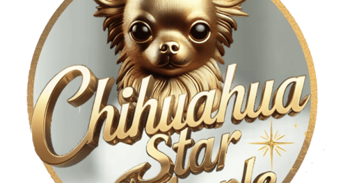 filhote de chihuahua