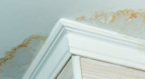 Signs of a leaking roof