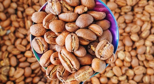 a spoon full of light roasted coffee beans