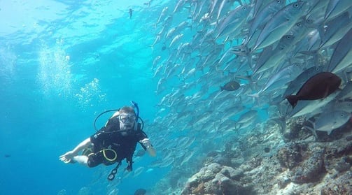 A beautiful underwater world at Kapalai
