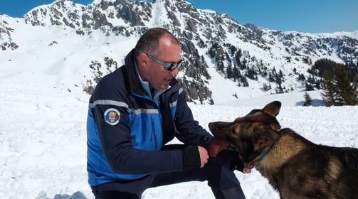 exercice chien avalanche