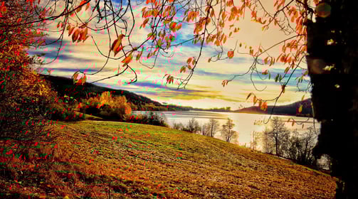 Herbstlicher Morgen am Schluchsee