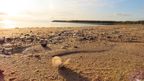 Strand von Yyteri