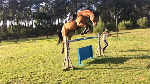 saut en liberté