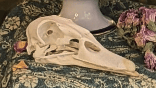 A duck skull sitting on elaborately woven cloth.