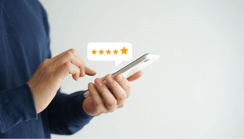 five star ranking with gold goose