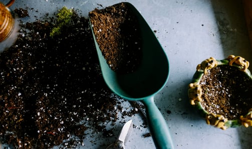 Soil in scoop
