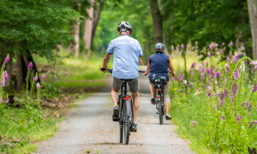 two people riding bikes on a path in the woods