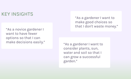 Sunny Patch - Key Insights