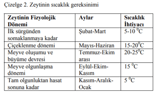 zeytin csıcaklık gereksinimi - itoga çiftliği