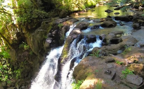 Eugene, OR - Majestic Falls at the top before it plunges down
