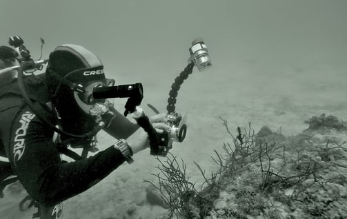 Shawn Murphy in his early days with the canon S10 shooting a ghost pipe fish