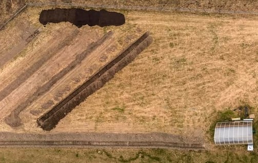 agroforestry field in preparation