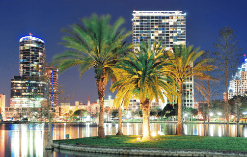 a palm tree in the middle of a city of orlando