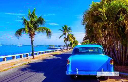 Viajes Bojórquez