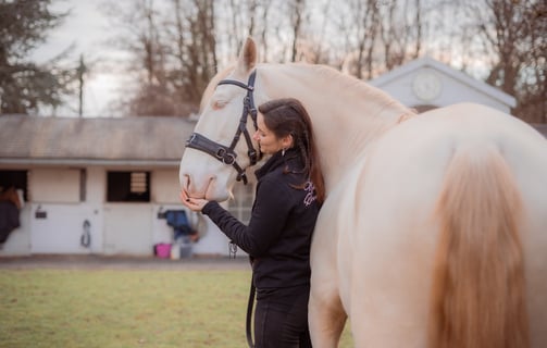 a woman in a black jacket is standing next to a horse