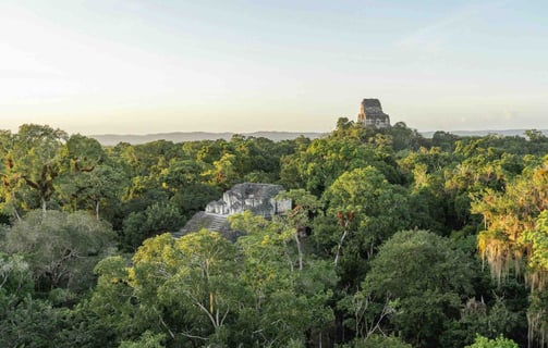 View of the jungle and ancient pyramids of Tikal, Guatemala.