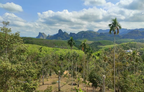 Doï Tapang, Sawi Chumphon