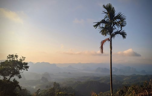 Doï Tapang, Sawi Chumphon