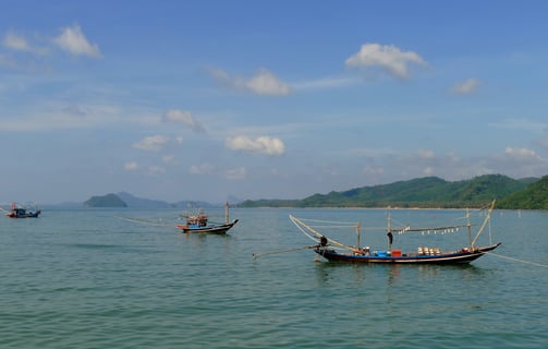TongTom, Sawi Chumphon