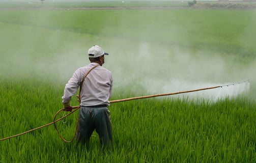 un hombre con camisa blanca fumigando un campo