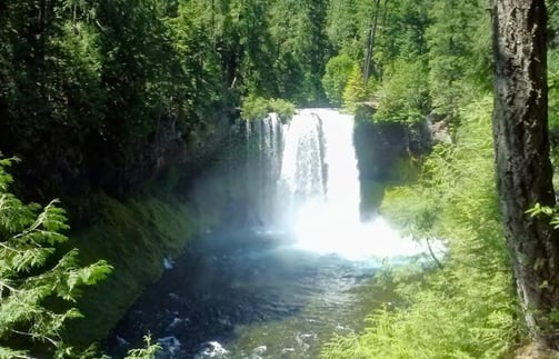 Eugene - Powerful Sahalie Fall means "heaven", and Koosah Falls along the loop trail