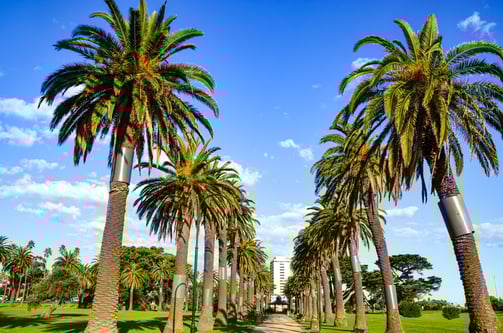 The Catani Gardens in St Kilda, Melbourne