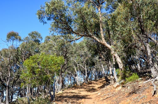 Werribee Gorge State Park