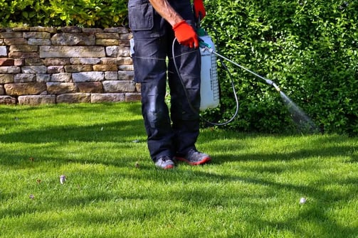 a man is spraying a lawn for weeds