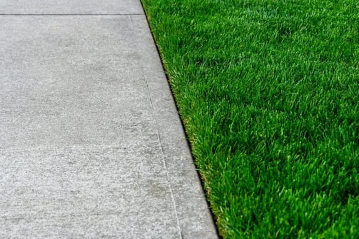 a clean, straight line between a grass yard and the sidewalk pavement