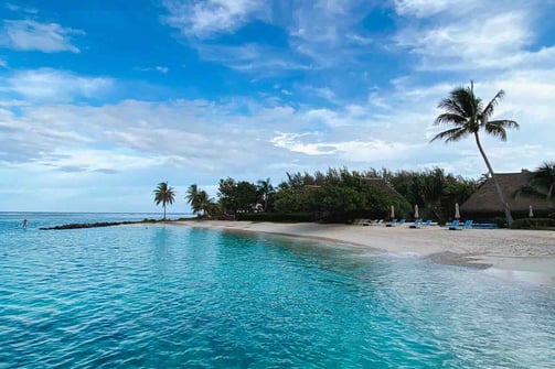 Beach in Huahine with coconut trees, in French Polynesia.