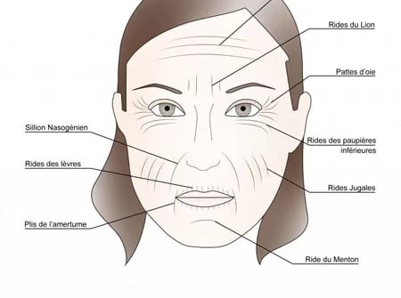 maquillage travesti zones visage