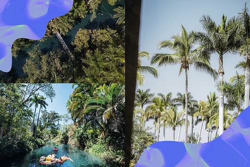 Atardecer en Las Estacas, con asistentes disfrutando del río rodeados de árboles milenarios y natura