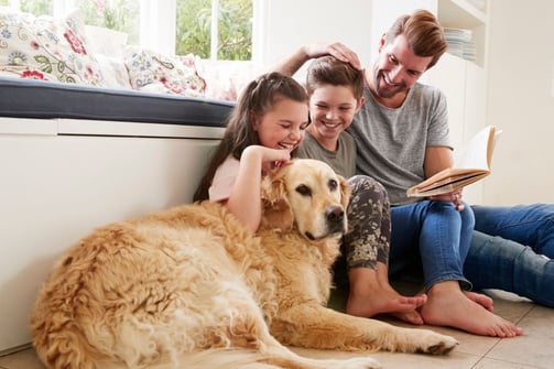 happy family in clean home