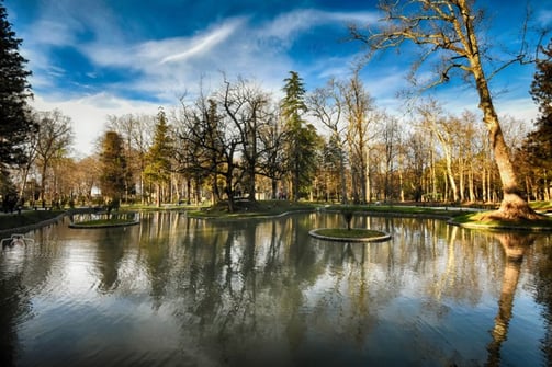 Zugdidi Botanical Garden