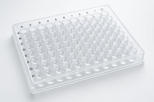 a cell culture plate
