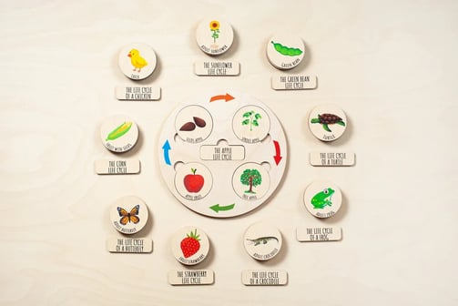 a clock with a variety of different types of food