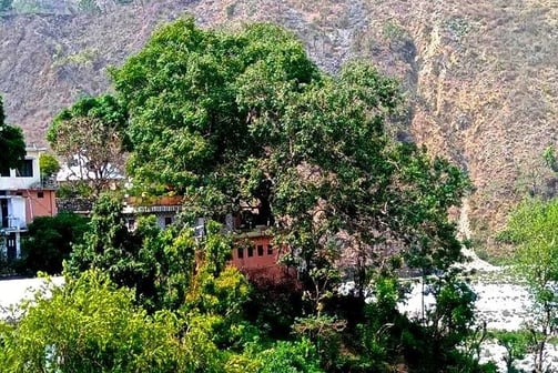 Ashram Hairakhan