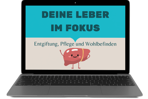 Startseite des Leber Online Kurses