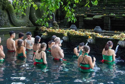 a group of people in green bathing suits in a pool