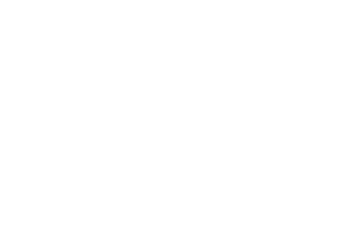 Zola's Fine Foods logo made by Neowork Studios.