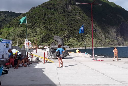 Faial da terra swimming
