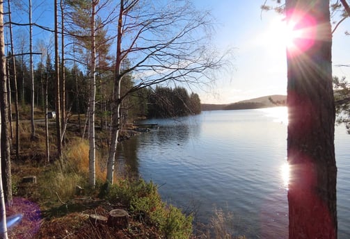Ich see einen See