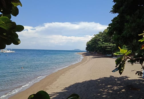 Dauin beach
