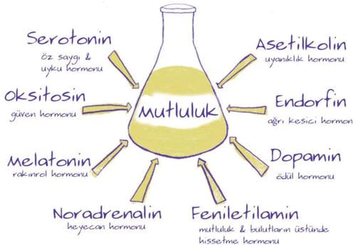 Adrenalin ve noradrenalin, stres ve duygusal durum üzerinde güçlü etkileri olan hormonlardır.