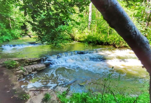 Bachlauf