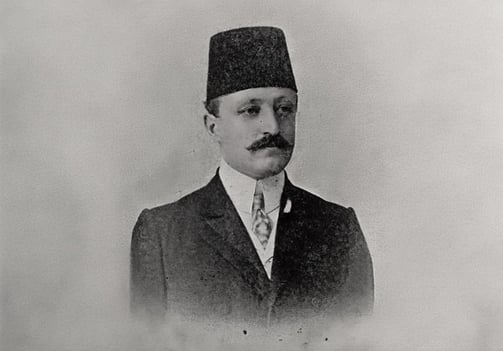 Rıza Nur Kimdir?
