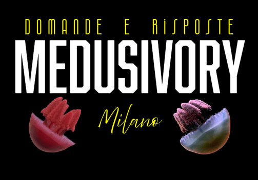 #medusivorymilano