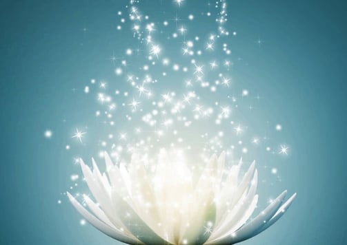 Lotus flower of Universal Truths